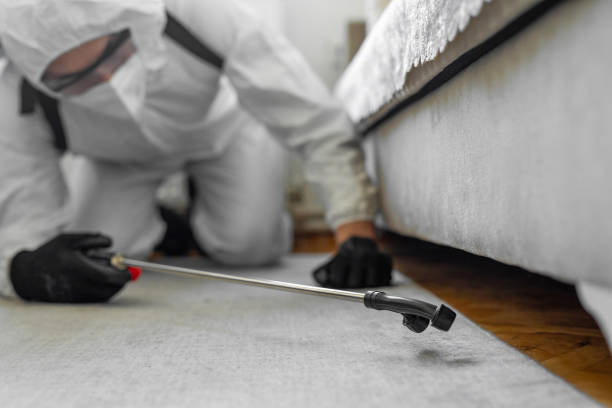 Professional Bed Bug Control technician working in Midlothian, VA