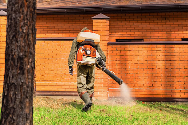 Trusted Rodent Control service in Midlothian, VA - Nex Pest Control